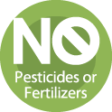 No Pesticides or Fertilizers